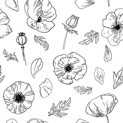 Poppies Pattern Flowers vector line drawing. Drawn by a black line on a white background. Flowers for the memorial. Remembrance day. 
