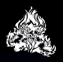 Fototapeta premium Burning bush. Vector drawing icon