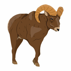Bighorn sheep with large swirling horns. Males of Ovis canadensis. Wild mammals of North America. realistic vector animal