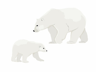 Polar bear mother Ursus maritimus and her cub. Wild animals of the North Pole. Realistic vector animal