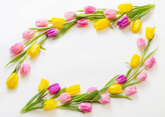 spring flowers on white background