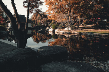Japanese park with lake 