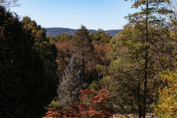 Fototapeta premium Colorful Trees during Autumn in the Woods of Sleepy Hollow New York