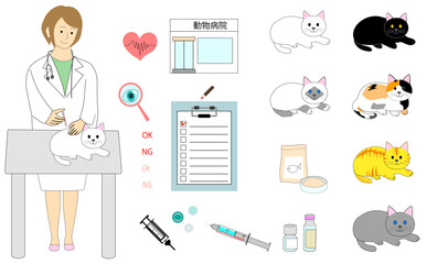 A veterinarian woman doing a vaccine 
 shot to a cat for prevention against FVRCP, Rabies,
Feline Leukemia