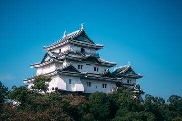 japanese castle