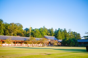 pavilion in the park