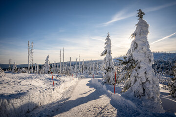 Winter panorama Dreisessel Mountains on the border of Germany with the Czech Republic, Bavarian Forest - Sumava National Park. High quality photo