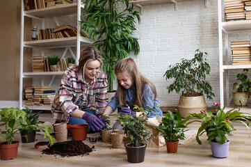 A young mother and daughter take care of flowers. Care of indoor plants.