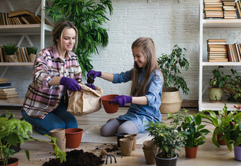 A young mother and daughter take care of flowers. Care of indoor plants.