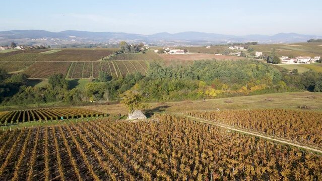 Vue a&eacute;rienne drone paysage vigne vignoble bourgogne viticulture pour illustration reportage vigneron