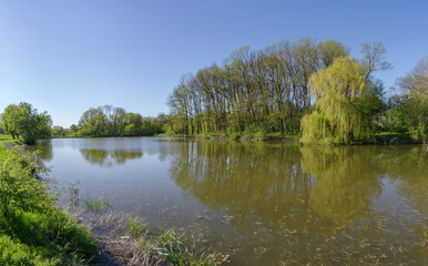 Fototapeta na wymiar Pond in springtime, Podilski Tovtry National nature park, Khmelnytskyi region, Ukraine
