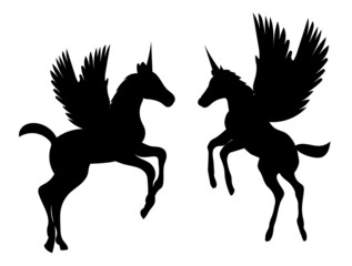 pegasus black silhouette on white background, isolated vector