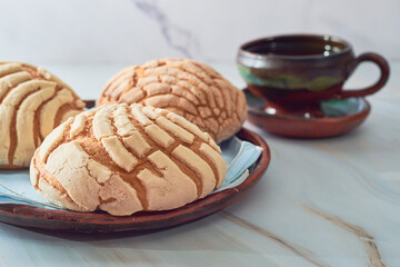 Authentic concha, traditional Mexican sweet bread made of vanilla and chocolate.