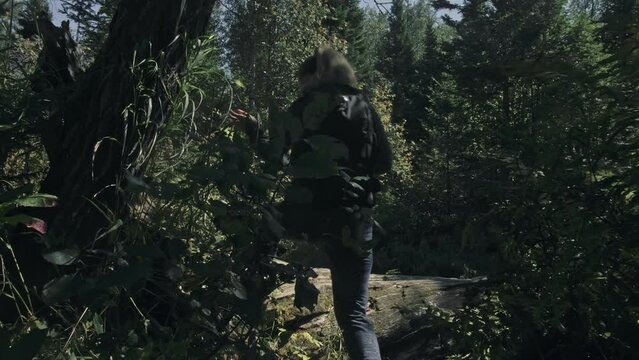 Traveler photographing scenic view in forest river. Wood bridge fallen tree. One caucasian woman shooting nice magic look. Girl take photo video on camera. Photographer travel with backpack. Outdoor.