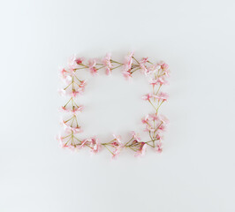 Fresh pink Japanese cherry blossoms arranged in a square shape with copy space on white background. Minimal concept.