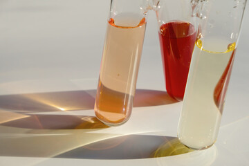 Set of white wine, rose wine, red wine.  Sunlight. Copy space.