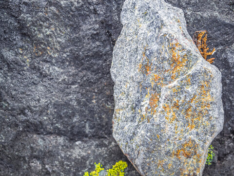 Stone rock texture with orange moss and lichen colors Norway.