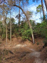 Peace, Beauty and harmony all reflected in one picture. 