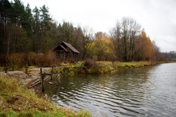 Fototapeta na wymiar Autumn view of the forest and lake