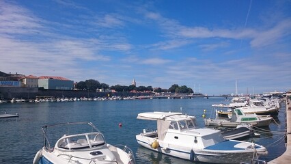 boats in the harbor