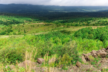 Obraz premium Mountain view with green grass, trees and rocks in summer