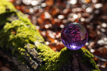 Glaskugel in der Natur. Lensball in the nature