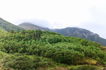 Epic mountain view with fog over the mountains and green grass and trees in valley