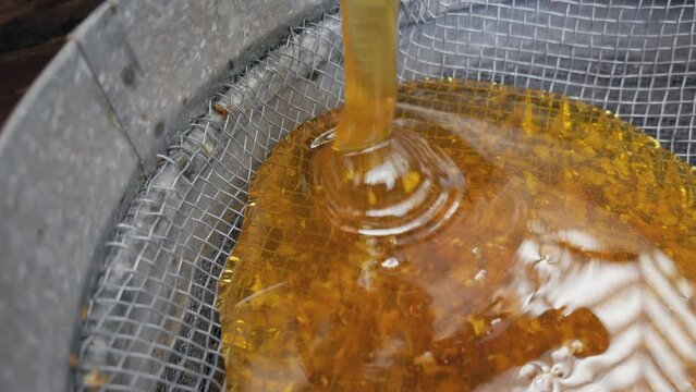 The honey from the honey extractor is filtered through a sieve. The honey is poured from the barrel into a colander.