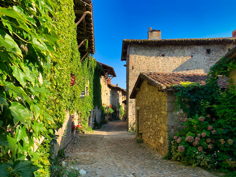 street of the medieval village of Perouges, near Lyon (France)