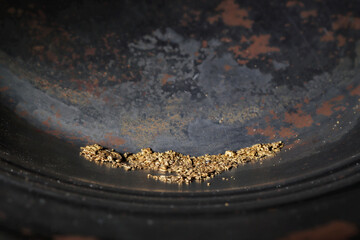 hand panned river gold nuggets from Bulgaria in gold pan