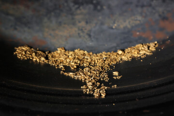 hand panned river gold nuggets from Bulgaria in gold pan