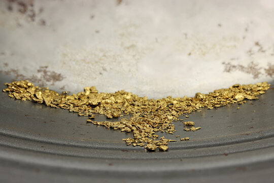 Gold Panning Images – Browse 24,573 Stock Photos, Vectors, and Video