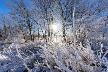 Winterlandschaft in der Uckermark