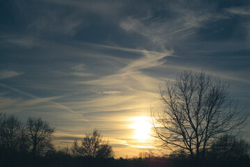 landscape sky above the meadow at sunset