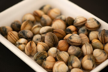 STEAM COOKED COCKLES FROM THE GALICIAN RIAS