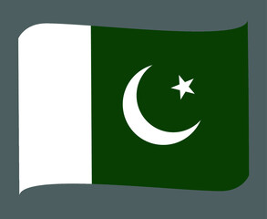 Pakistan Flag National Asia Emblem Ribbon Icon Vector Illustration Abstract Design Element