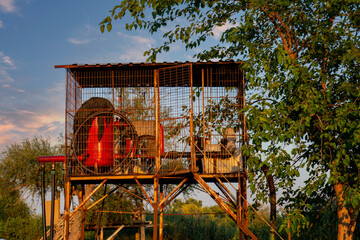 Fototapeta na wymiar Water motor in cage used for drip irrigation. red watering engine. Sunset.
