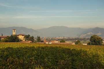 Fototapeta na wymiar view of the village in the vineyards with a background of hills 