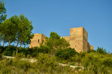 Fototapeta na wymiar The castillo de forna on a big rock surrounded by green trees and bushes under blue sky