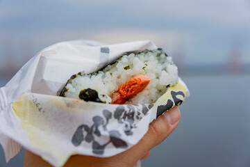Close up shot of a salmon rice ball