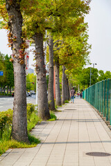 Sunny view of the cityscape