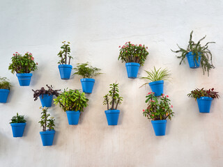 Blue flower pots decorating a whitewashed wall in Marbella, a touristic village in the Mediterranean, province of Málaga, Costa del Sol, Spain. Flower pots backgound with copy space - obrazy, fototapety, plakaty