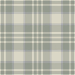 Plaid seamless pattern. Check fabric texture. Vector textile print.