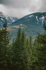 A sign on the side of a snow covered mountain
