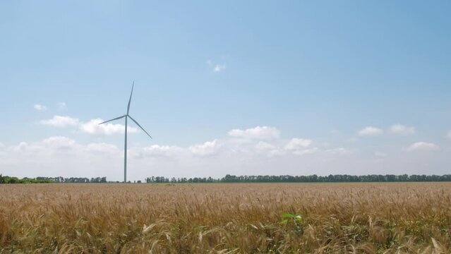 Wind driven generator produces electricity in countryside. Large turbine operates in ripe wheat field against blue sky in summer