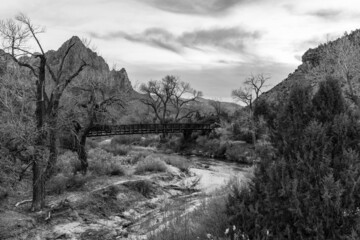 Zion  Watchman black and white