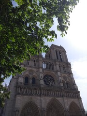 notre dame cathedral