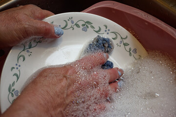 Fototapeta premium A woman's hand, with newly manicured nails, still does the dishes by hand in a washbasin in the Kitchen Sink.