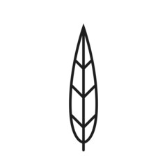willow leaf line icon. botanical and nature symbol. isolated vector image
