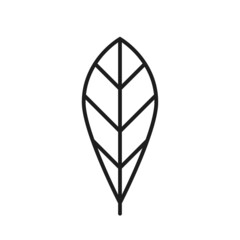 spatulate leaf line icon. botanical, nature and environment symbol. isolated vector image